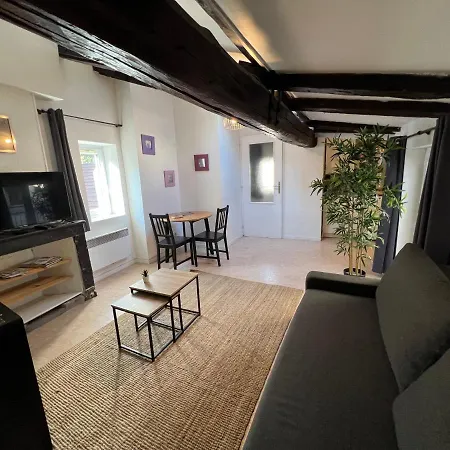 Cosy Hyper Centre * גרנובל